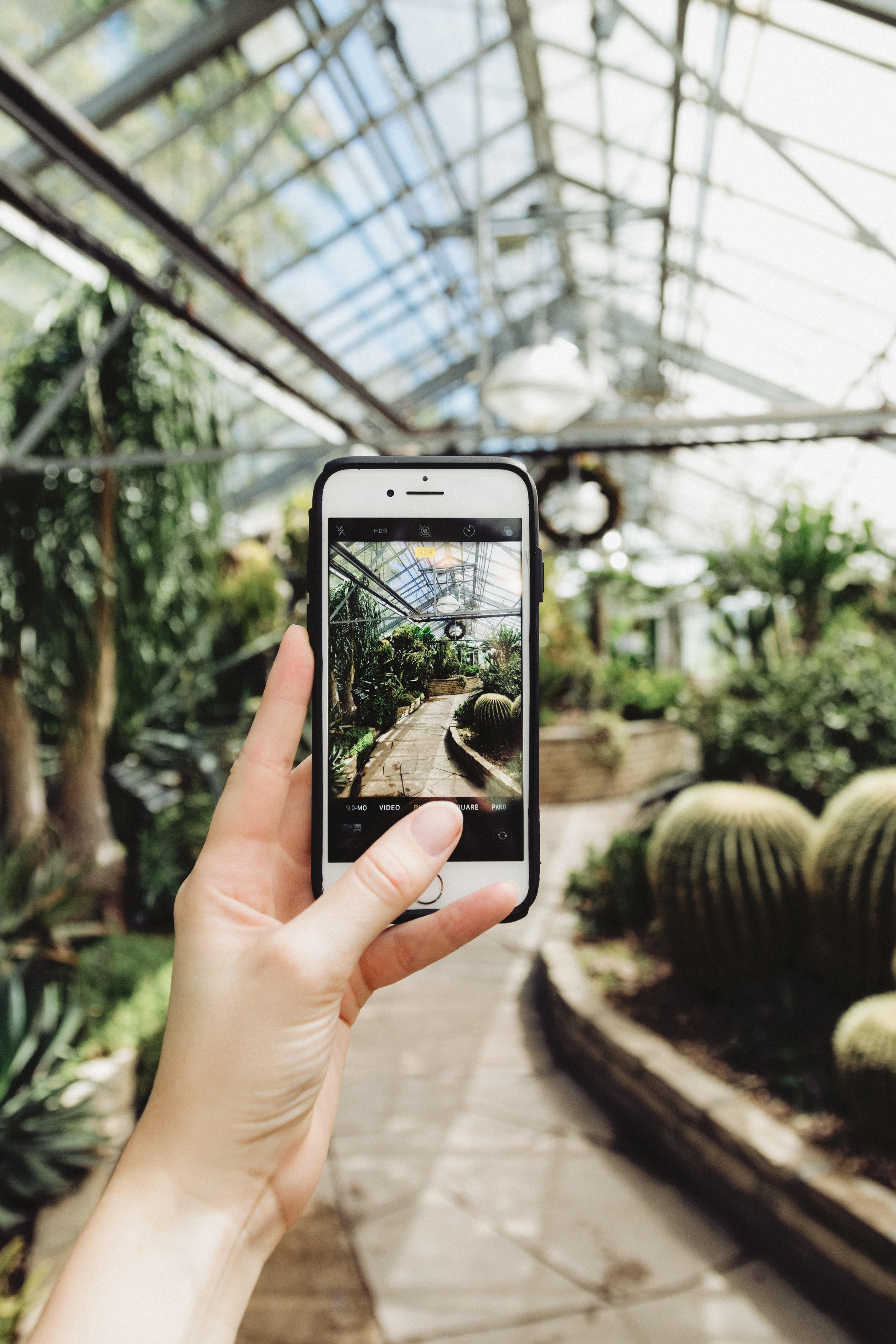 mobile-phone-photography-in-greenhouse_4460x4460